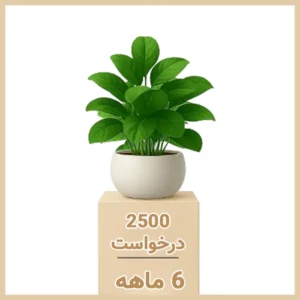 بسته اعتباری 6 ماهه